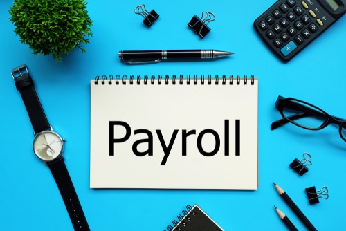 Excellence Comes As Standard For Payroll Professionals - IRIS FMP UK