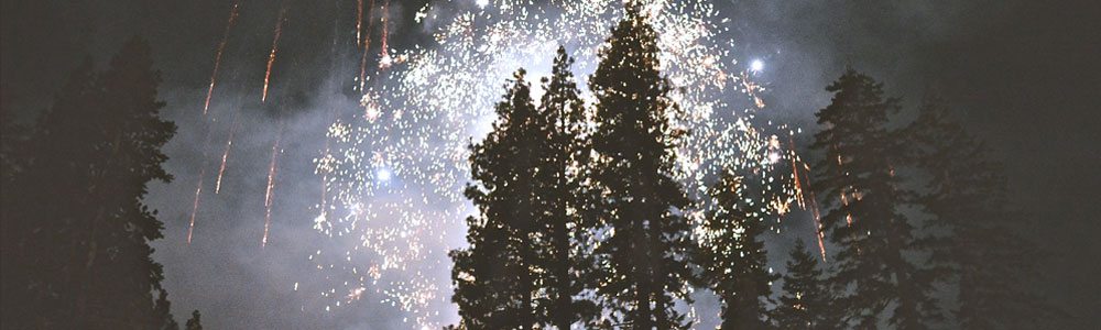 Fireworks over tress celebrating new tax year